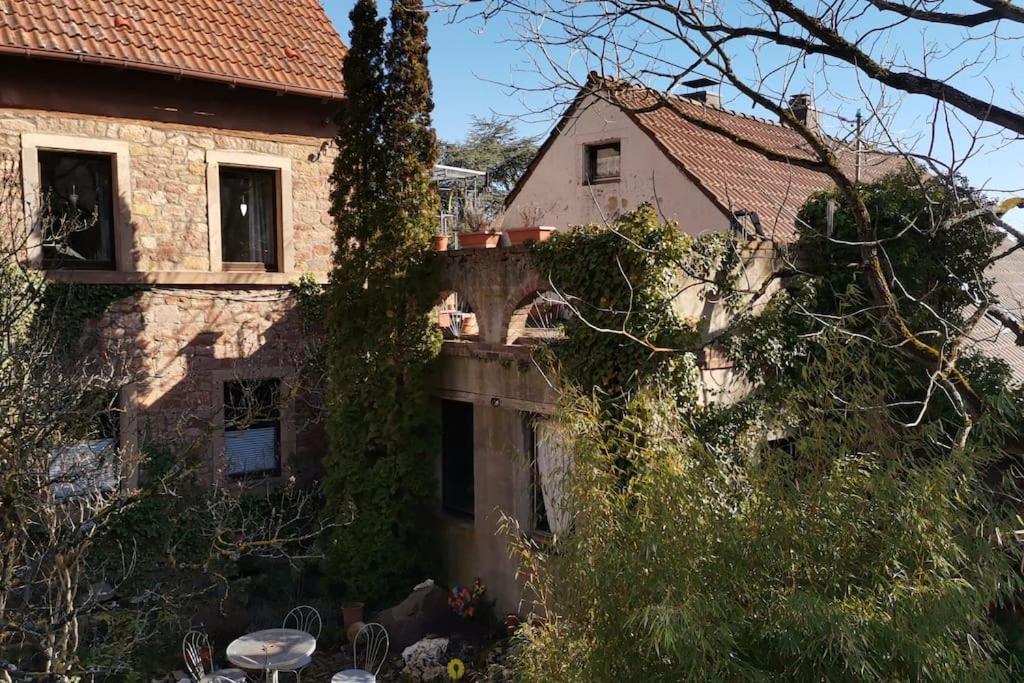 Vila "Casita Linda "Am Donnersberg Dannenfels Exteriér fotografie