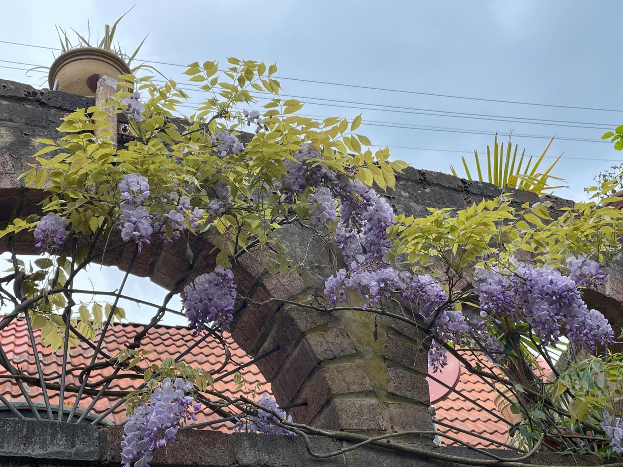 Vila "Casita Linda "Am Donnersberg Dannenfels Exteriér fotografie