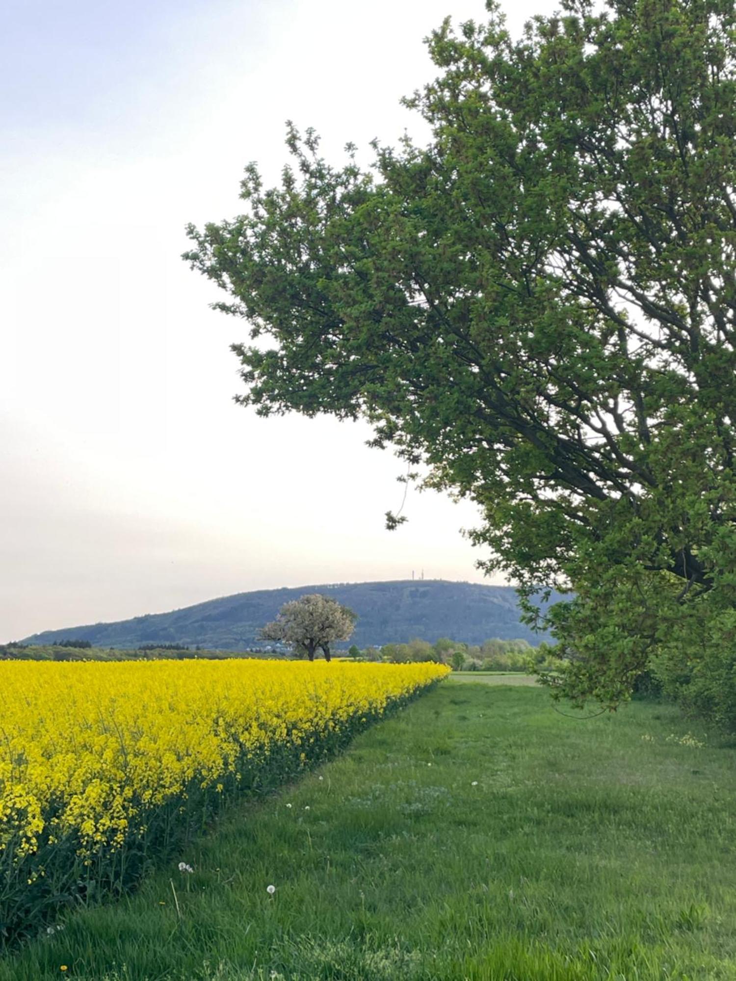 Vila "Casita Linda "Am Donnersberg Dannenfels Exteriér fotografie