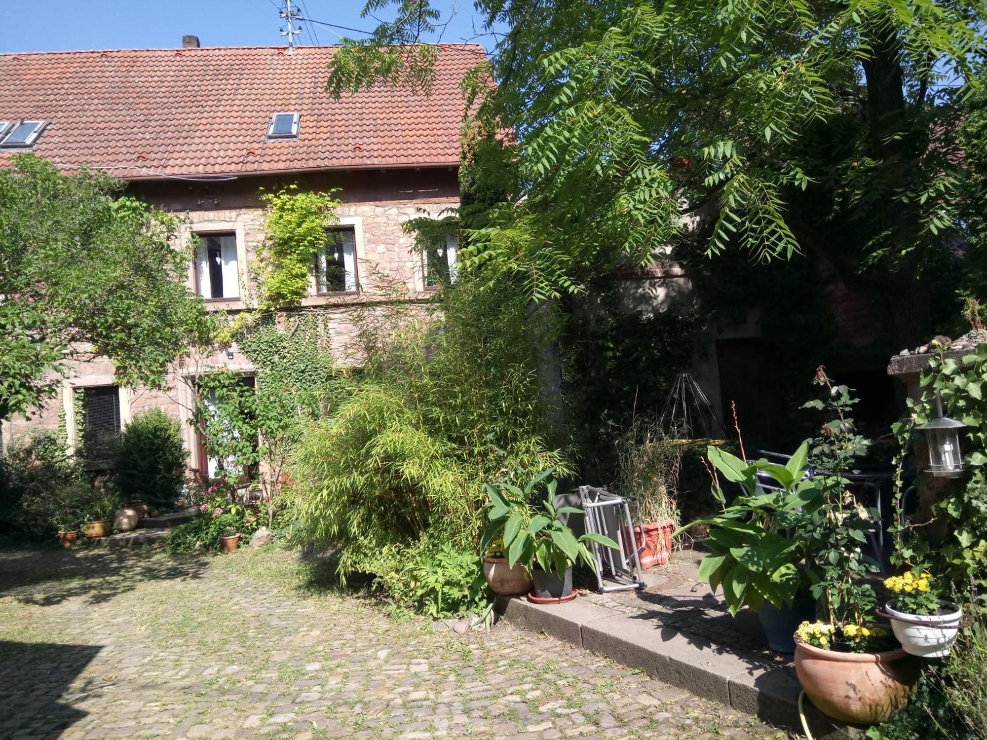 Vila "Casita Linda "Am Donnersberg Dannenfels Exteriér fotografie