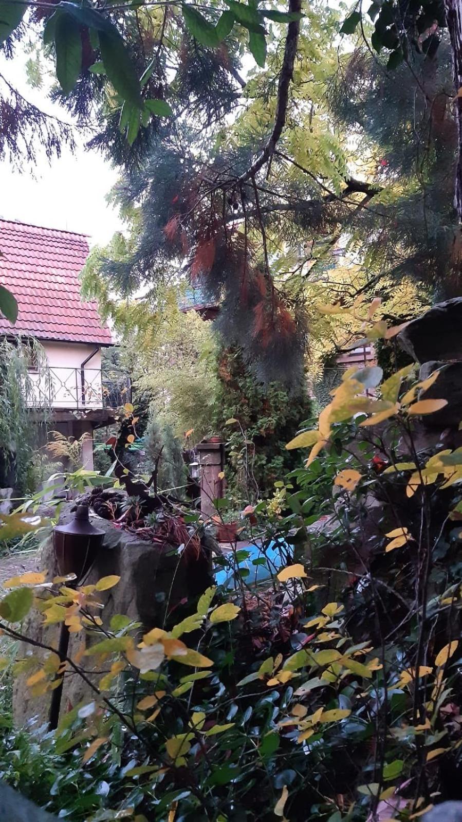 Vila "Casita Linda "Am Donnersberg Dannenfels Exteriér fotografie