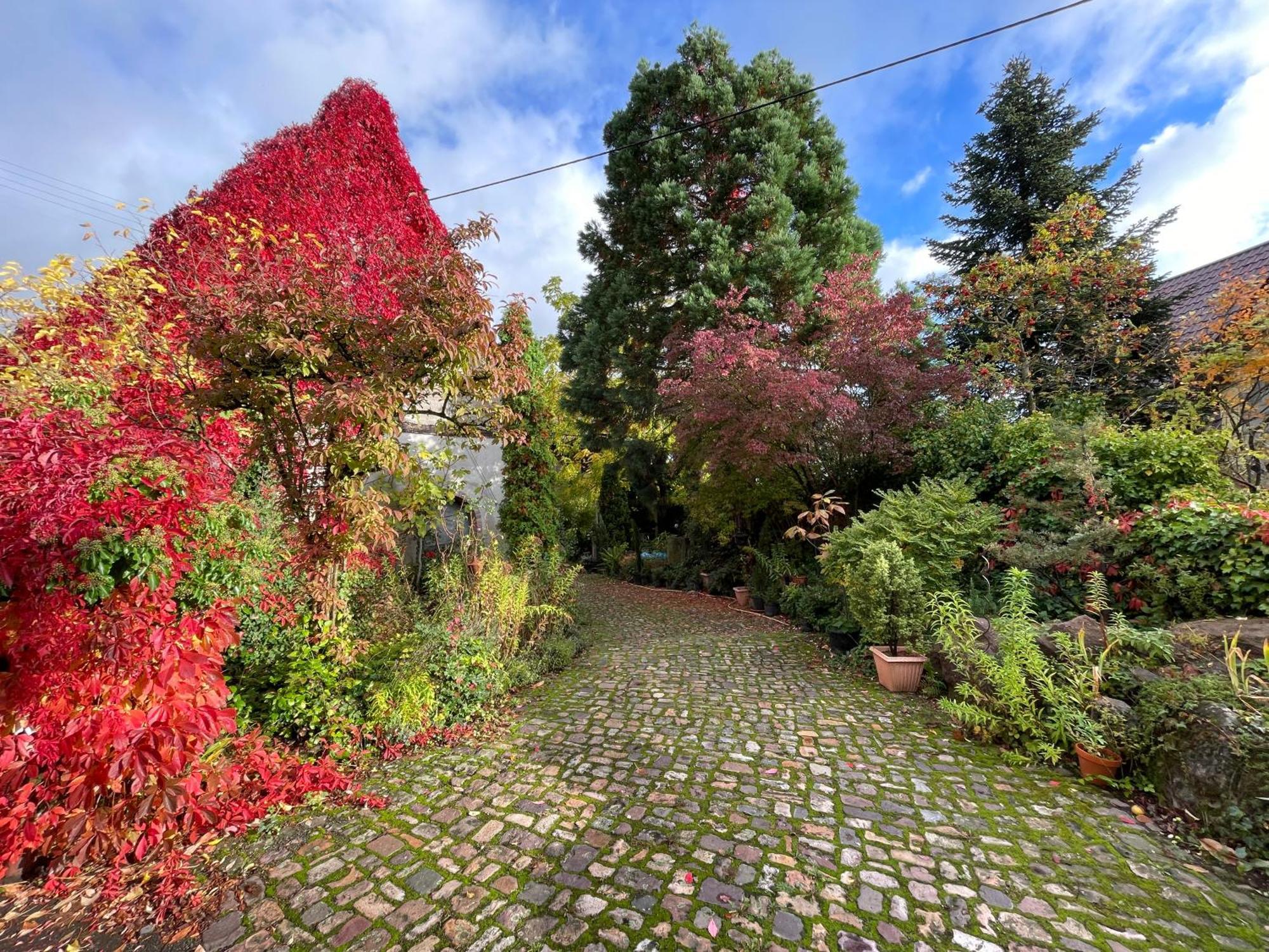 Vila "Casita Linda "Am Donnersberg Dannenfels Exteriér fotografie